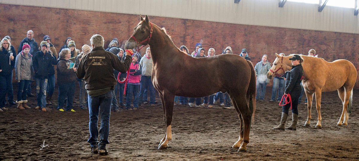 Minnesota Arabian Horse Association Membership I would like to