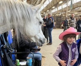 Arabian horse and girl in pink cowboy hat at the MN Horse Expo